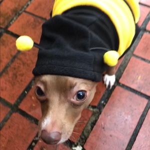 Meet your Posher, Leslie